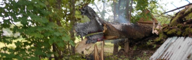 FOTO | Pikselöök süütas puu, mis kukkus seejärel keldri katusele