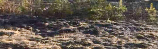 Lõkkest süttis kulu