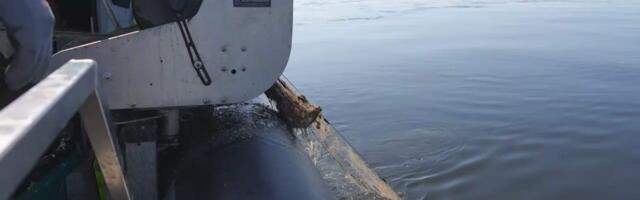 Järve jäänud võrgud on suur oht