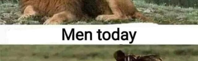 Meeste muutmine tädideks hävitab lääneliku liberaalse ühiskonna