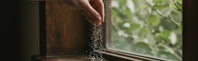 Aknalauale soola panemine – vana nipp, mis lahendab üllatavalt mitu probleemi