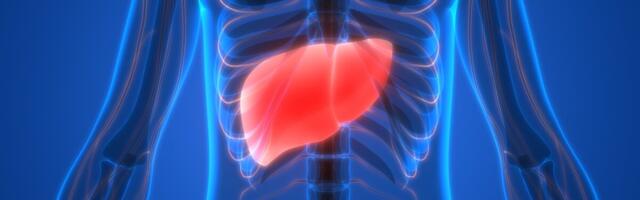 Maksavähki saab ehk peagi ravida ultrahelitehnoloogia abil