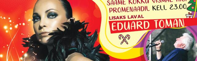 Aastavahetusel toimub Haaberstis suurejooneline kontsert