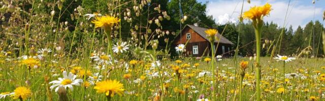 Kas Sinu organisatsoonis hinnatakse juba keskkonnaressursside kasutust ja mõju?