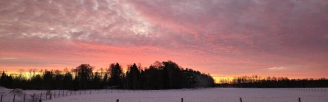 JAANUARI ILM | Kuu kõige soojemal päeval mõõdeti Hiiumaal pea 7 kraadi sooja