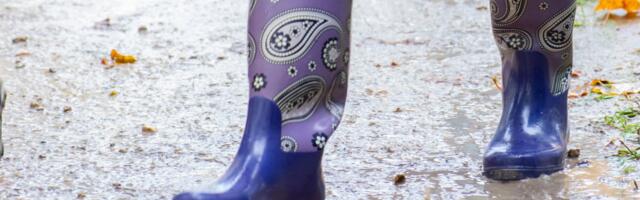 Riik toetab maale kolimist