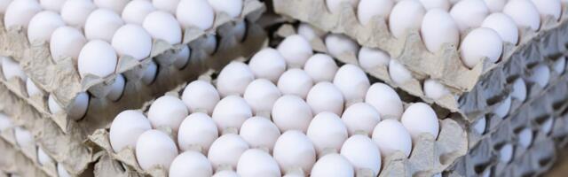 Prisma avaldas, kui palju tõuseb lihavõttenädalal valgete munade müük