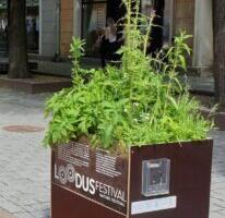 Ökoloogiline kirjaoskus