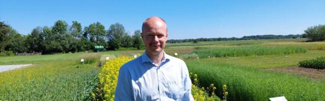 Ülevaade: rapsi, rüpsi ja kaunvilja toodang on ajas muutunud