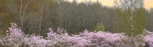 Käimas on Türi järve seisundi uuring ja analüüs