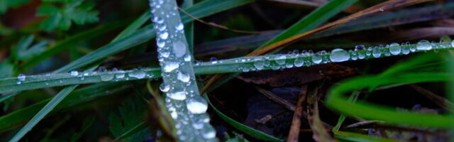 Nädalavahetus algab maheda sügisilmaga