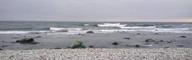 Kõik me kanname endas mere märke