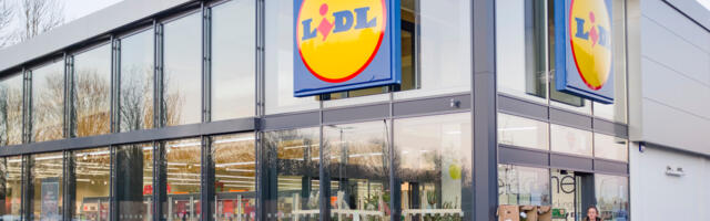 LÄHEB REBIMISEKS: odavaid hindu lubav Lidl avab neljapäeval Eestis poed
