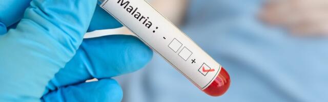 WHO teatel tõusis malaariajuhtumite arv mullu taas