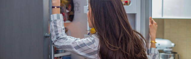 Rohkem mugavust ja uued probleemid: külmikud oskavad nüüd ise ust avada, kuid on hakanud ka reklaame näitama