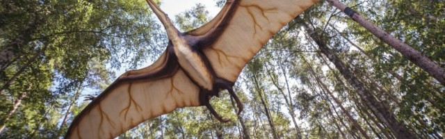 Dinosauruse tagasitoomine: unistus elab edasi