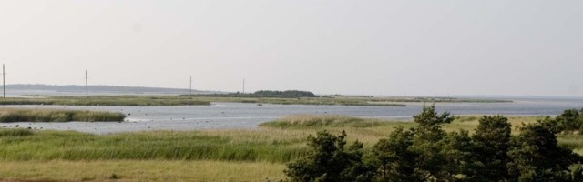 "Üks matkaline ei pidanud veevoolule vastu" - likvideeriti Vilsandi-Käkisilma matkarada