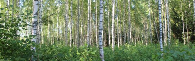 Looduskaitsjad: looduskaitseliste piirangute kompensatsioone tuleb tõsta