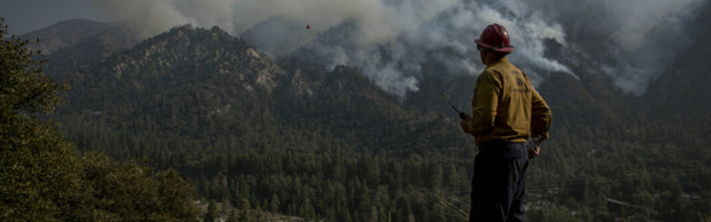 G Edward Griffin viiskümmend aastat tagasi: kommunistid õhutavad rasside vahelist viha ja vägivalda revolutsiooni esilekutsumiseks