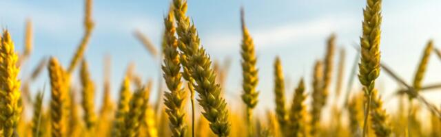 Majandustulemused | Akola Groupi puhaskasum kasvas kolmandiku võrra