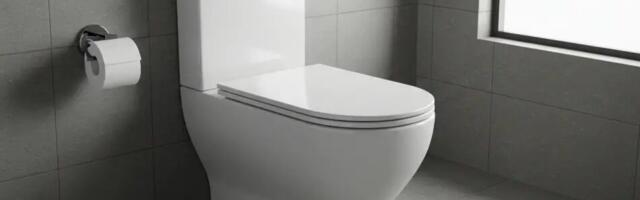 Kuidas hoida WC meeldivalt lõhnavana: looduslik nipp, mida paljud koduperenaised kasutavad