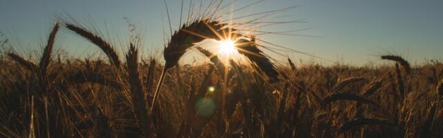 Maaelu Teadmuskeskus otsib demofarmereid