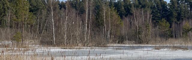 Valgevälja maavaravaru selgub aprillis