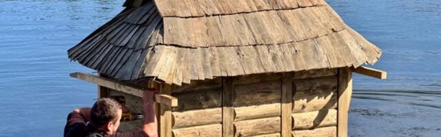 Õismäe tiigile paigaldati lindudele uued pesitsusmajad