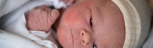 Pealinna kahes sünnitusmajas tuli ilmale kokku 48 jõulubeebit