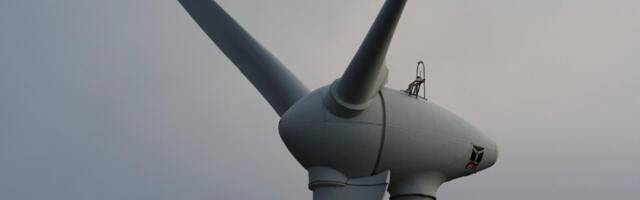 Tuulepargi uuringu teeb tuntud linnumees