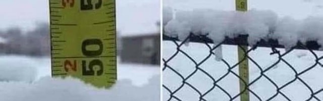 Nädala parim meem: kuidas Terviseamet lume paksust mõõdab