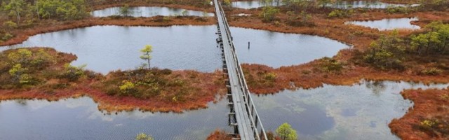 Eesti soodes ja rabades on juba 90 kilomeetrit matkaradu