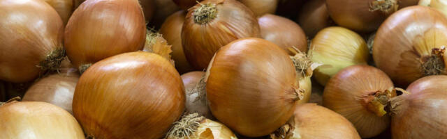 Coopis müügil olnud Poola päritolu sibulad on saastunud