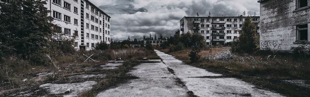 Rein Veidemann: puujalaga katkust Lui Vutoonini