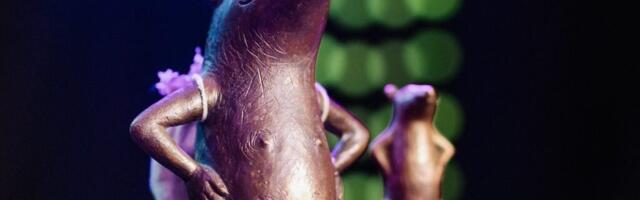 Muuseumiroti nominendid on valitud