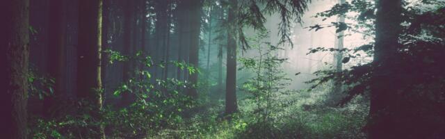 Postimees: riik tahab pääseda omanikele maa eest raha maksmisest