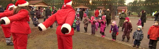 Reporter: Mustamäe linnaosavalitsus tegi tööd Männi pargis ja keset jõululaata