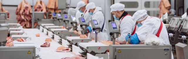 Nõo Lihatööstuse kasvu veab eksport