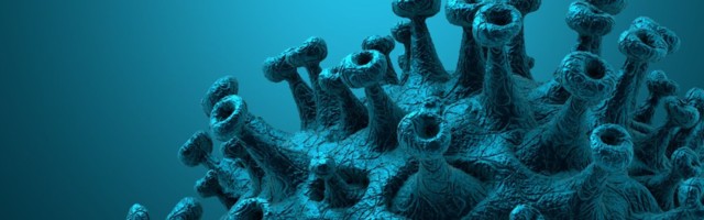 Uuring: kolmandikul on sümptomid kuid hiljem