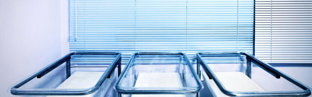 Googeldades 2019. ja 2023.a. Riigikogu valimiste eel  rahvastikupoliitika alusmõisteid –paigalmarss rahvastikurindel