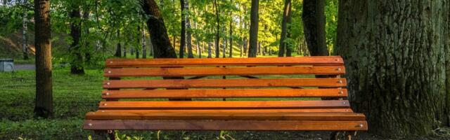 Doktoritöö: metsadel on oluline roll inimeste kognitiivses heaolus