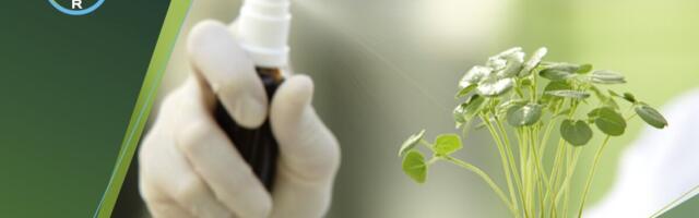 Ebastabiilne majanduslik olukord põllumajanduses: kuidas kaitsta saaki ja säästa targalt