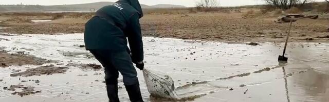 В Анапе ввели режим ЧС из-за нефтепродуктов на берегу