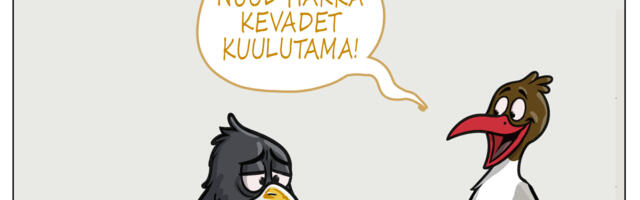 Karel rahu: nädal pildis