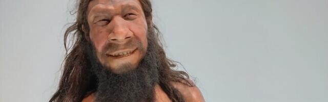 Neandertallaste geenipärand kasvatab inimeste viiruskoormust