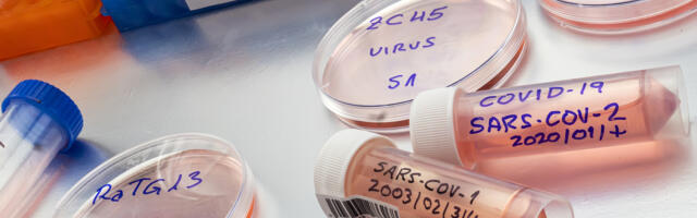 Britid nõuavad referendumit WHO pandeemialepingu osas