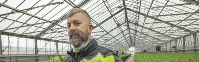 Eesti suurim tulbikasvataja: „Pole just lihtne pakkuda naistepäeval üle miljoni õie!“