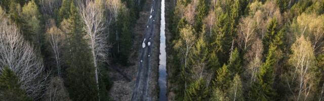 Linnamäe sai enda kätte kogu Toftani metsa