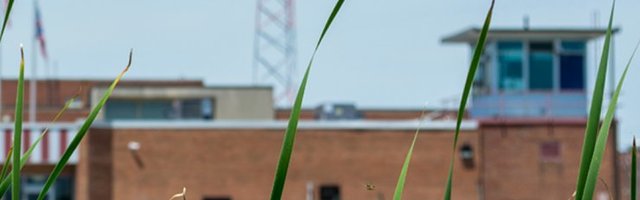 Neljas USA vanglas oli ligi 3300 koroonakandjast vangi, pea kõik ilma sümptomiteta