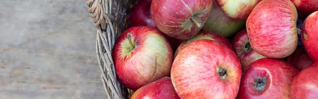 Päevahoroskoop : kolmapäev, 17. september